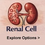 Renal Cell cancer watercolor illustration