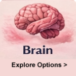 Brain Cancer