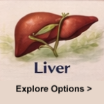 Metastatic Liver Cancer