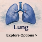 Metastatic Lung Cancer