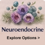 Metastatic Neuroendocrine Cancer
